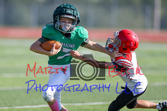 Bellin 10052024-57
