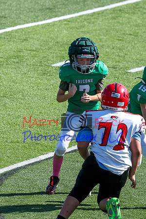 Bellin 10052024-39
