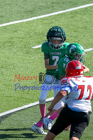 Bellin 10052024-38