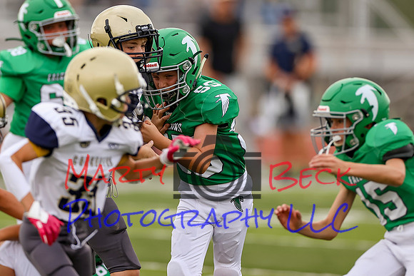 Schellman 09142024-24
