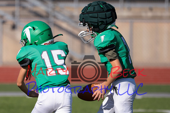 Bellin 10052024-7