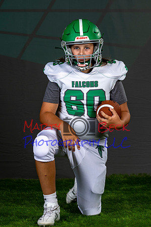 60_5 D Troy-2
