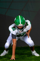60_5 D Troy-17