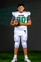 60_5 D Troy-19