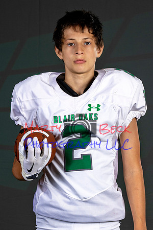 2_8 L Biermann-16