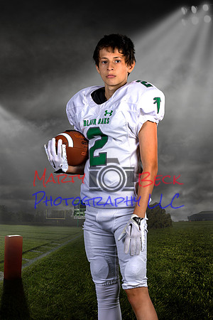 2_8 L Biermann Game