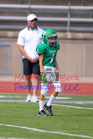 1 Webb-4