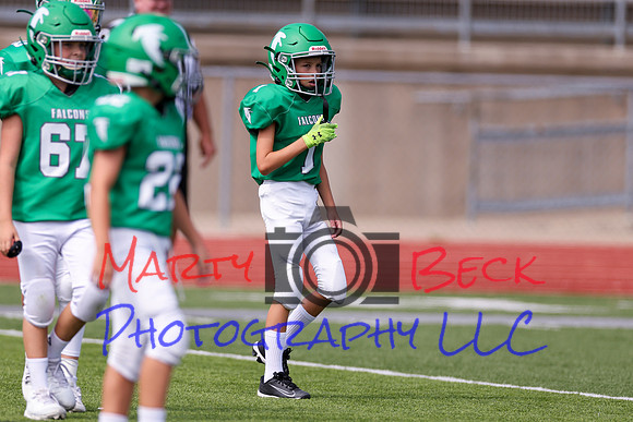 1 Webb-19