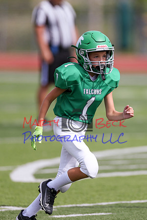 1 Webb-40