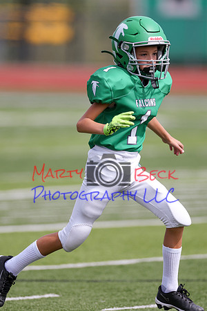 1 Webb-43