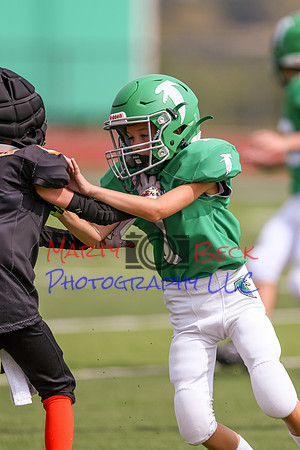 1 Webb-46