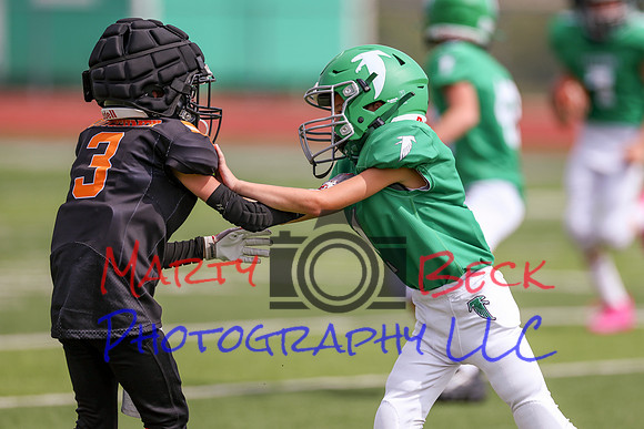 1 Webb-48