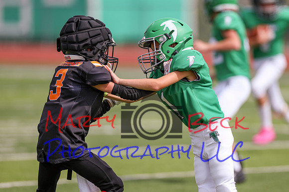 1 Webb-49