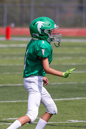 1 Webb-75