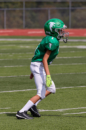1 Webb-81