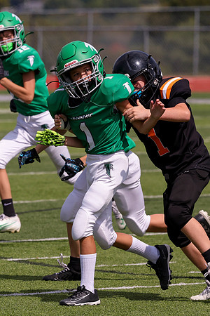 1 Webb-87
