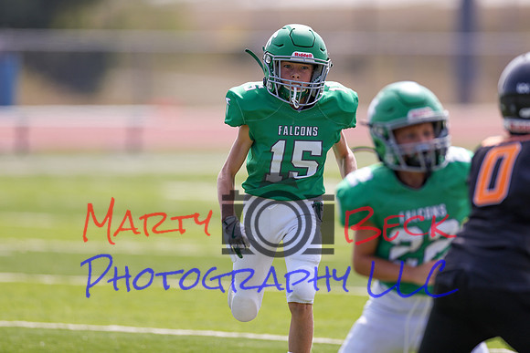 15 Verslues-17