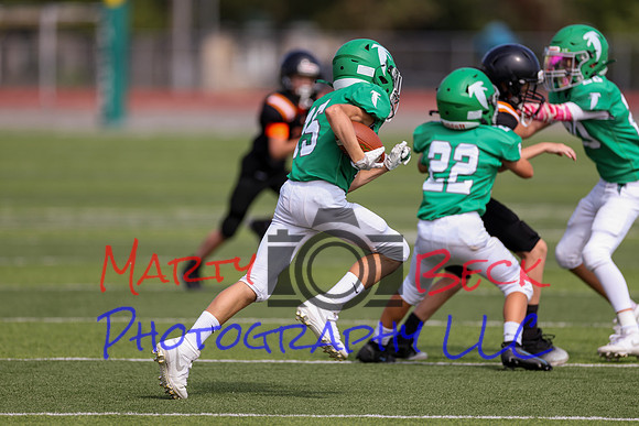 15 Verslues-51