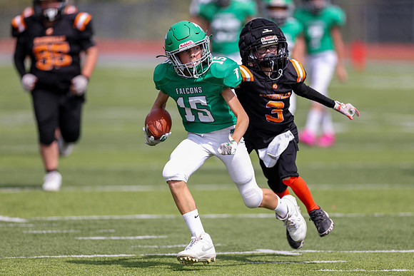 15 Verslues-130