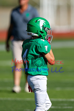 4-Stalter-2