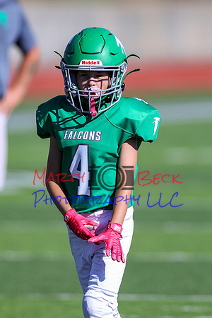 4-Stalter-4