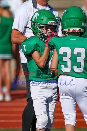 4-Stalter-6