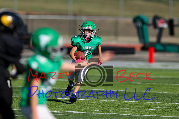 4-Stalter-12