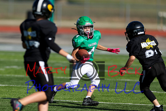 4-Stalter-14
