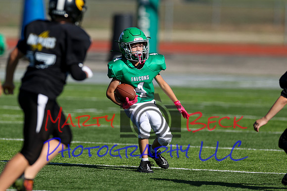 4-Stalter-13