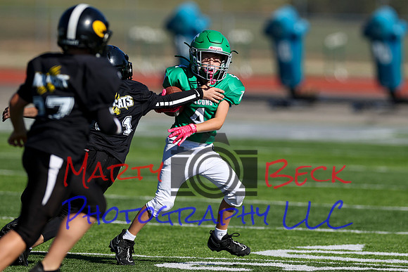 4-Stalter-15