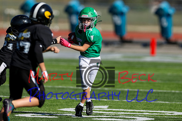 4-Stalter-16