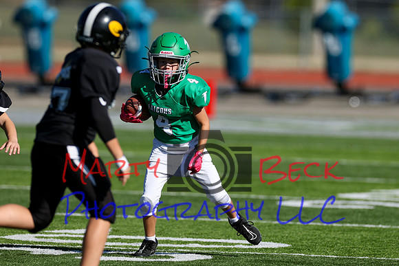 4-Stalter-17
