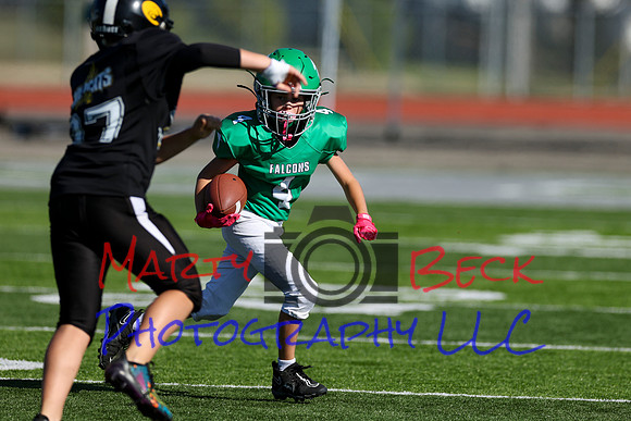 4-Stalter-19