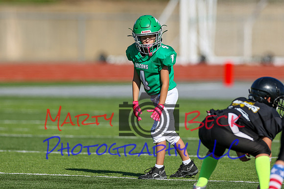 4-Stalter-23