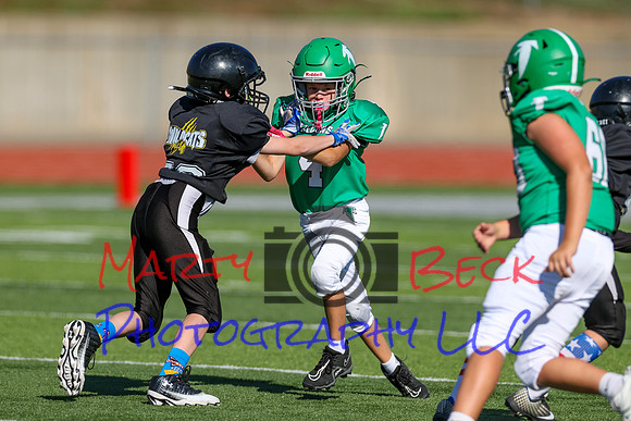 4-Stalter-27