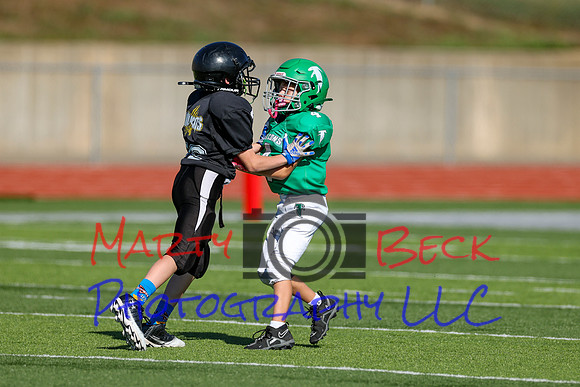 4-Stalter-29