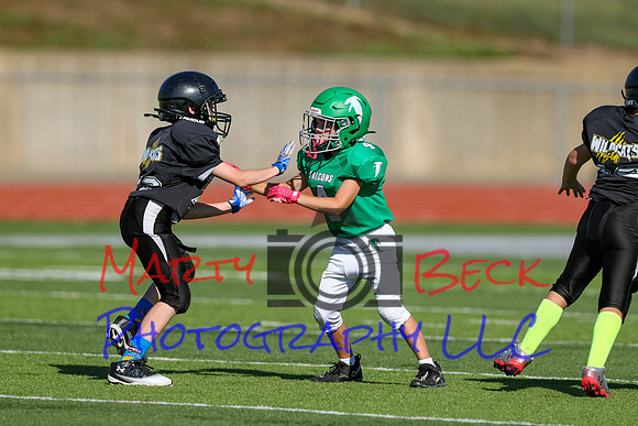 4-Stalter-31