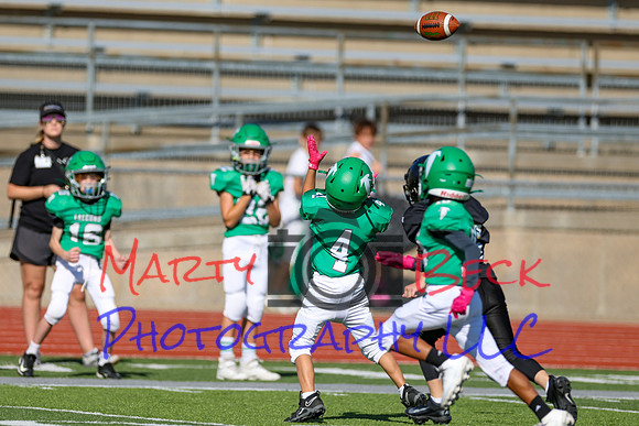 4-Stalter-40