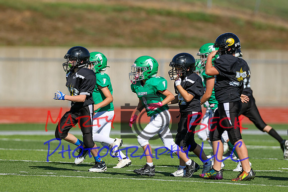 4-Stalter-44