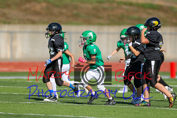 4-Stalter-45