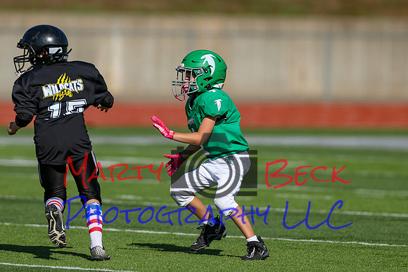 4-Stalter-49