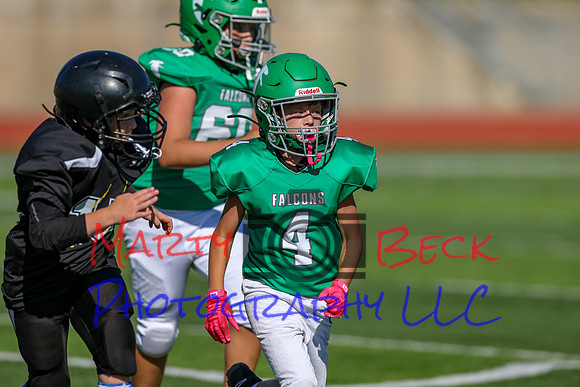 4-Stalter-62
