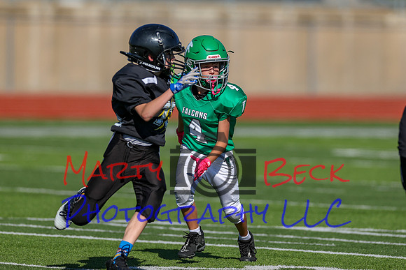 4-Stalter-65