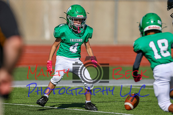 4-Stalter-72