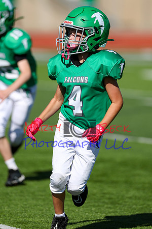 4-Stalter-85