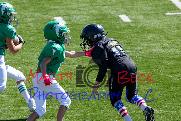 4-Stalter-134