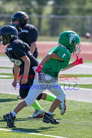 4-Stalter-156