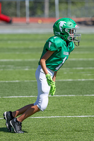 1-Webb-5
