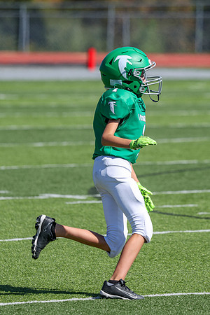 1-Webb-10