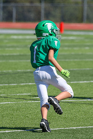 1-Webb-12